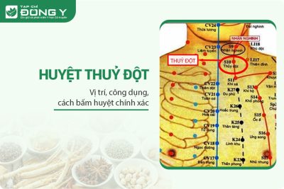 Huyệt thuỷ đột