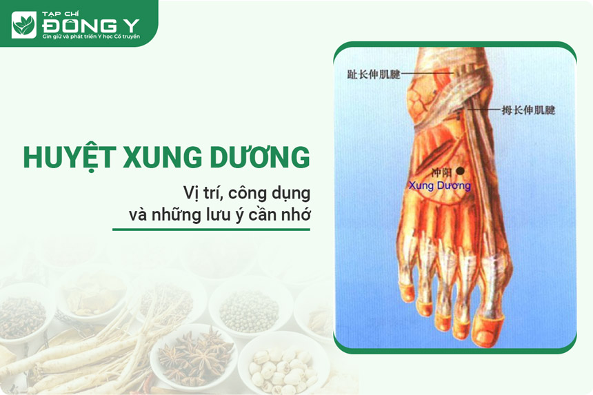 Huyệt Xung Dương