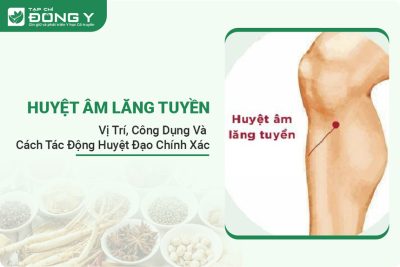 huyet-am-lang-tuyen