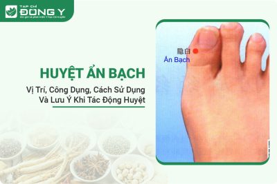 huyet-an-bach