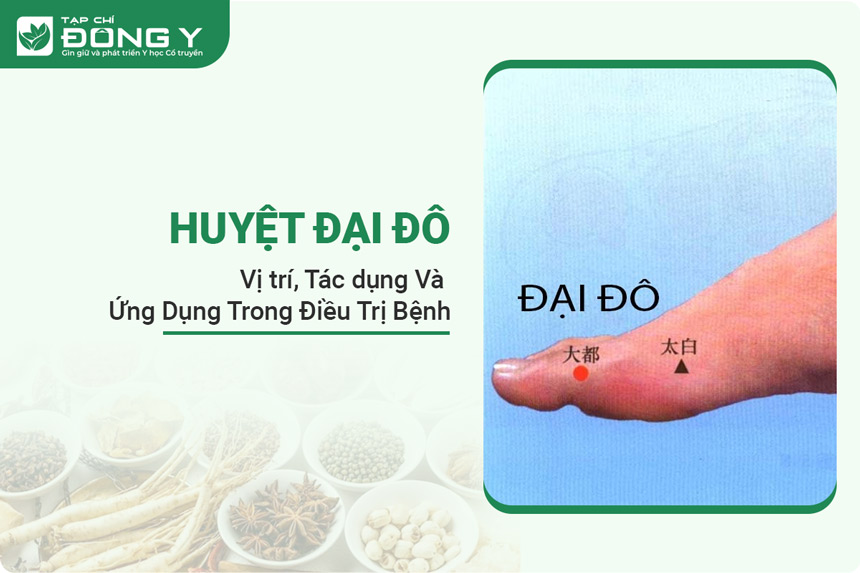 huyet-dai-do