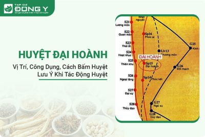 huyet-dai-hoanh