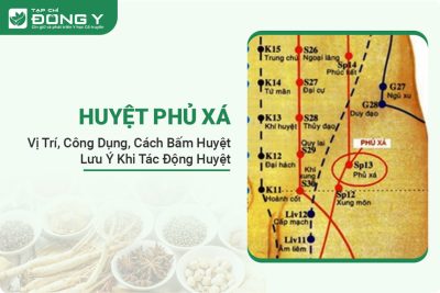 huyet-phu-xa