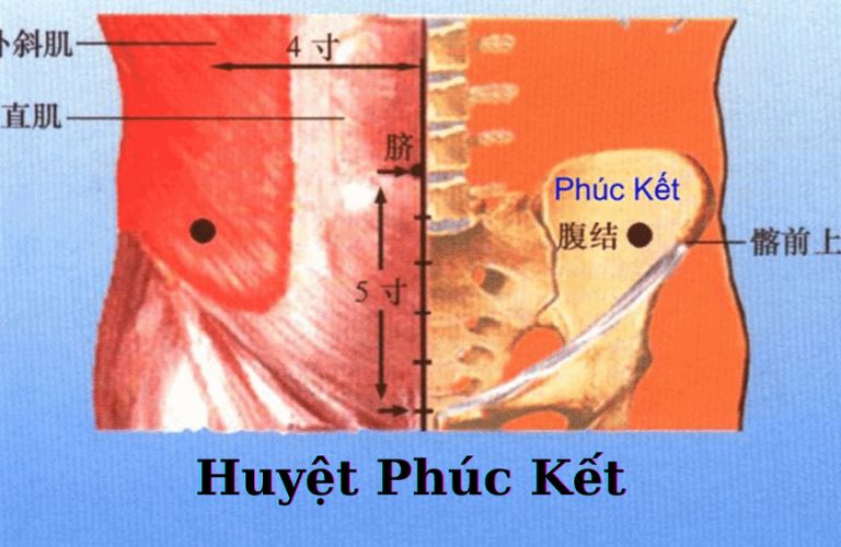 huyet-phuc-ket (1)