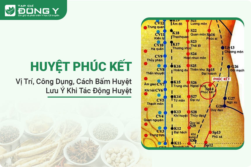 huyet-phuc-ket