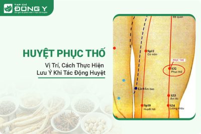 huyet-phuc-tho