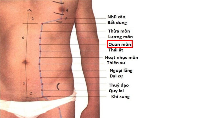 Huyệt Quan Môn (ST22) là một trong những huyệt vị quan trọng trên kinh Vị