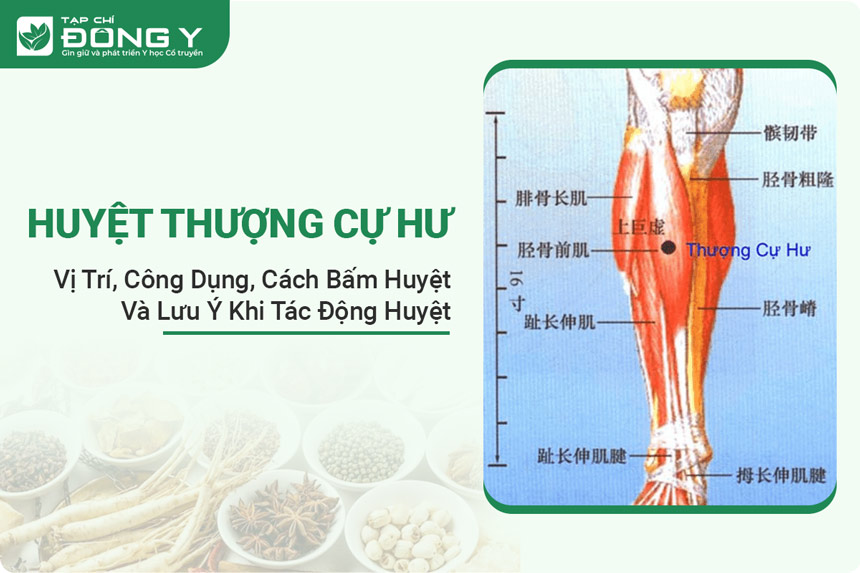 huyet-thuong-cu-hu