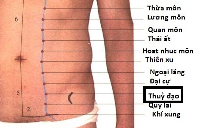 huyet-thuy-dao (1)