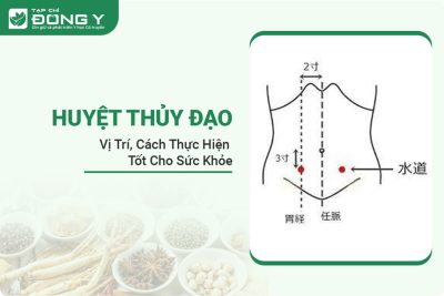 huyet-thuy-dao