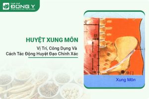 huyet-xung-mon