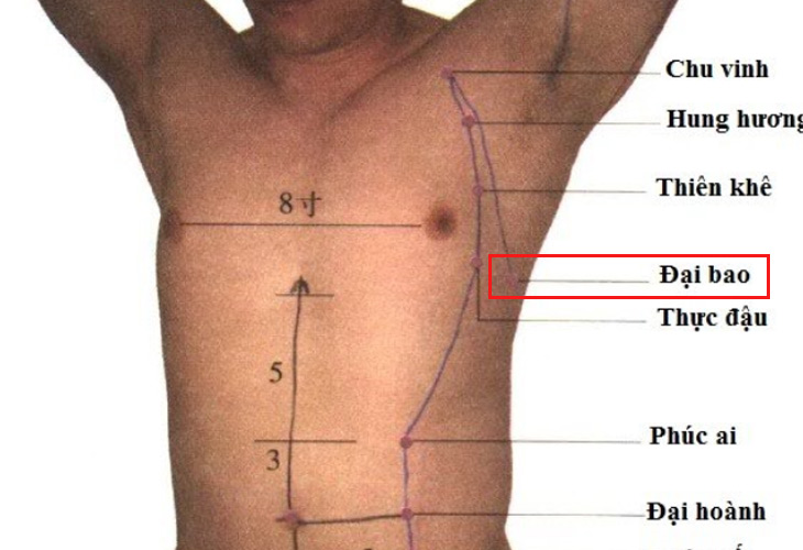 Xác định chính xác vị trí huyệt để tác động an toàn