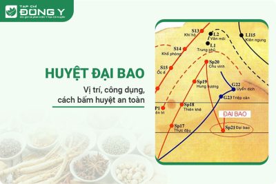 Huyệt Đại Bao