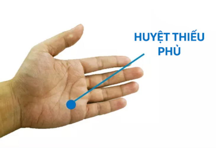 Huyệt Thiếu Phủ hay còn gọi là Đoài Cốt