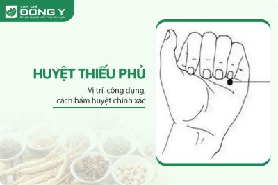 Huyệt Thiếu Phủ