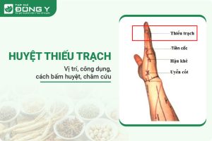 huyệt Thiếu Trạch