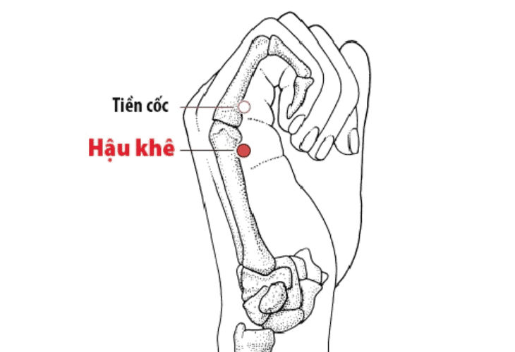 Huyệt có tác dụng điều hòa khí huyết, thanh nhiệt, giảm đau