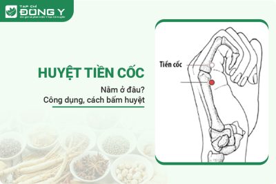 huyệt tiền cốc