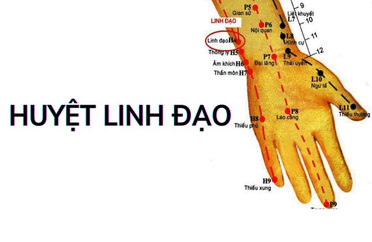 huyet-linh-dao (2)